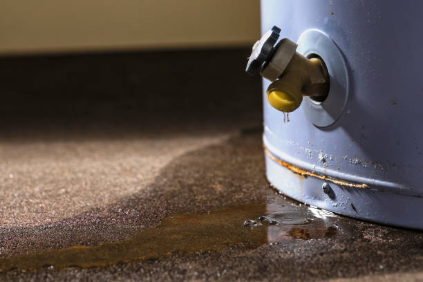 Best Water damage restoration near me  in South Laurel, MD