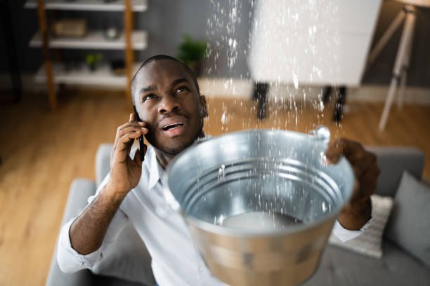 Best Water damage restoration near me  in South Laurel, MD