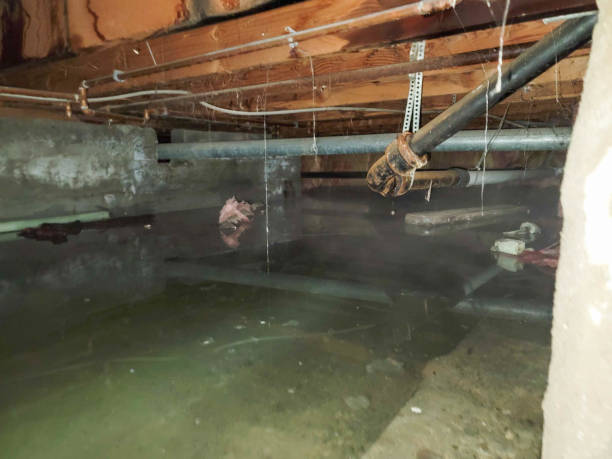 Best 24-hour water damage restoration  in South Laurel, MD