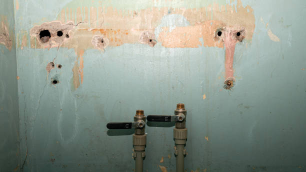 Best Professional water damage repair  in South Laurel, MD