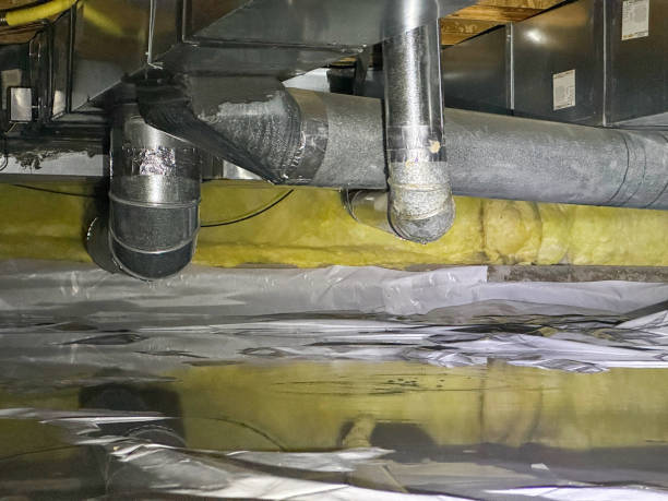 Water damage restoration experts in South Laurel, MD