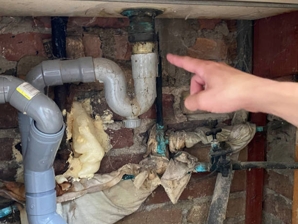 Best Commercial water damage restoration  in South Laurel, MD