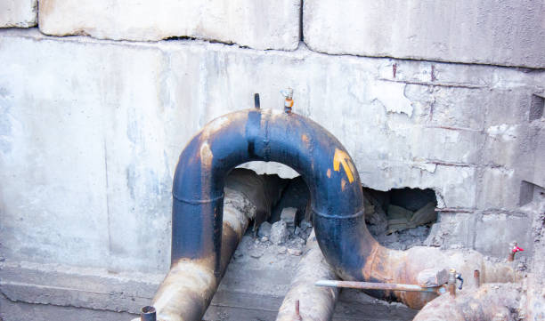 Best Local water damage restoration  in South Laurel, MD