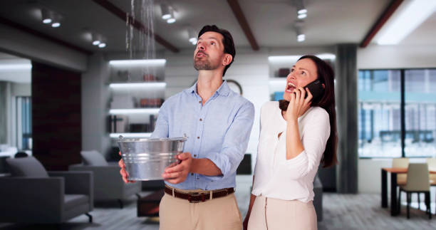 Best Flood damage cleanup  in South Laurel, MD