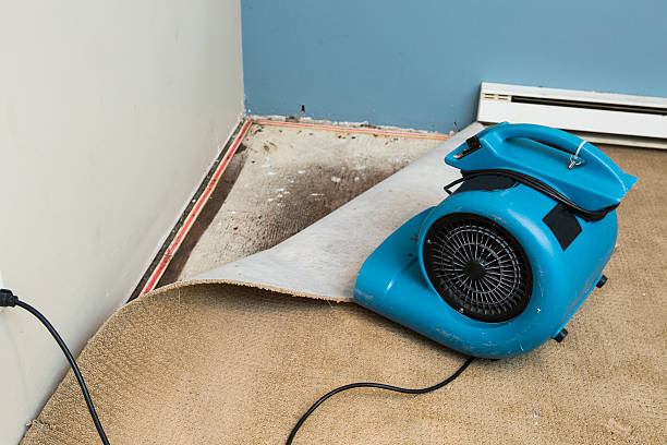  South Laurel, MD Water damage restoration Pros